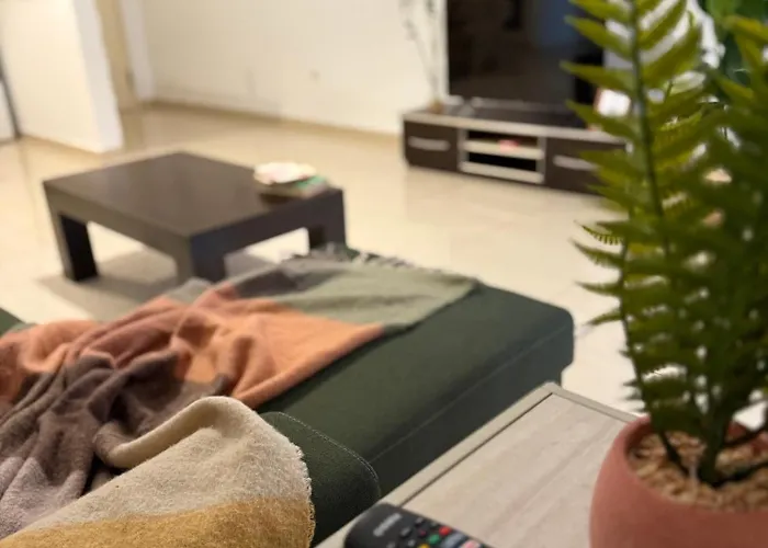 N&n Delijorgji 地拉那