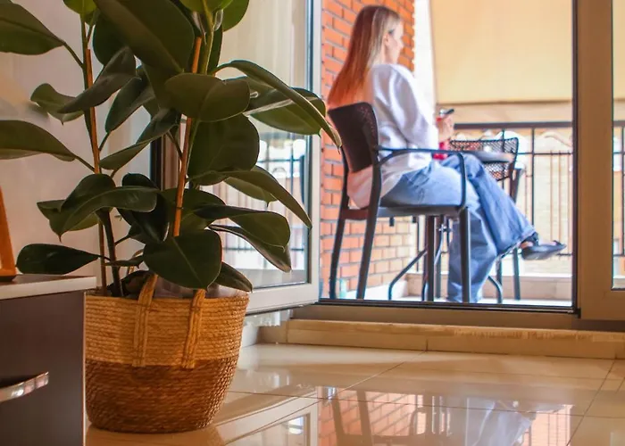 N&n Delijorgji * 地拉那