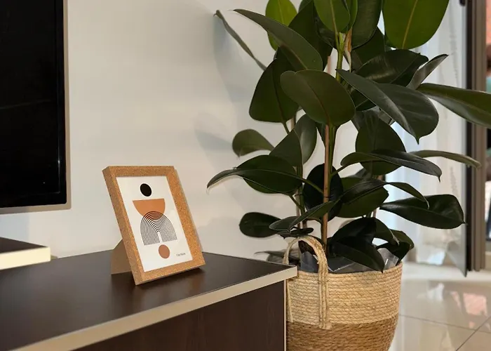 Apartamento N&n Delijorgji